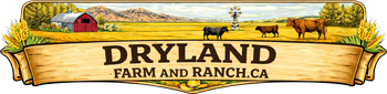 Dryland